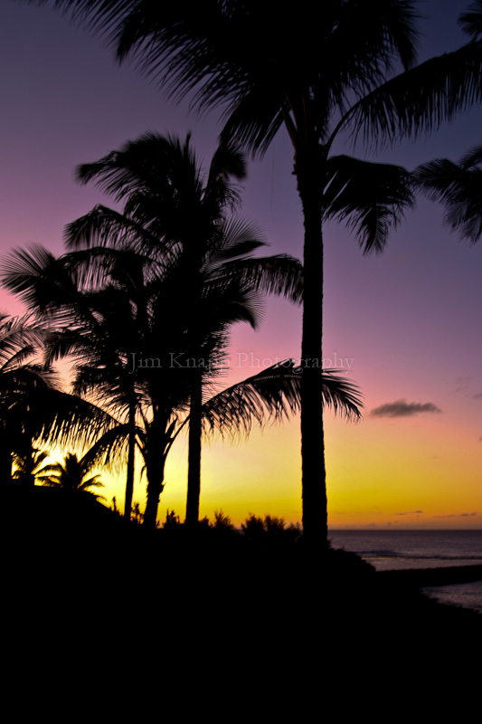 Hawaiian Sunset