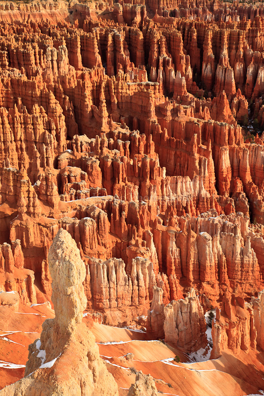 Hoodoos, Bryce Canyon