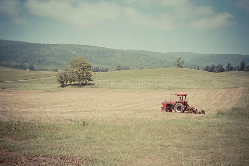 Farm Life